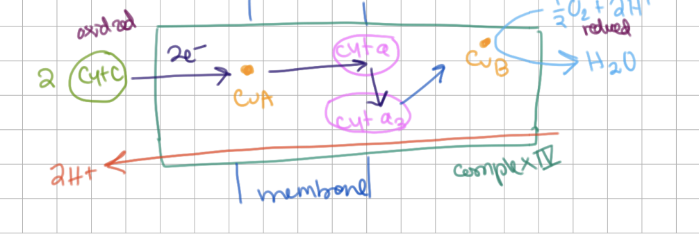 knowt flashcard image