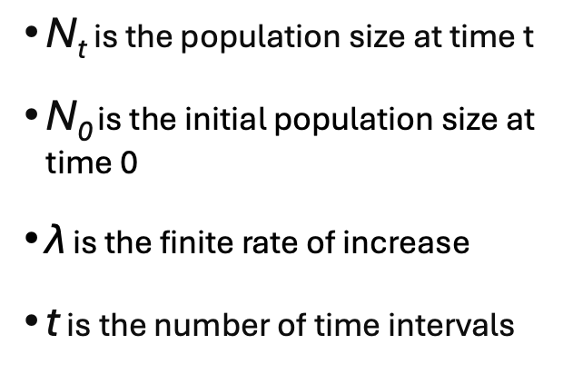 <p>growth is a pattern of population increase where the growth rate is constant with constant time (no .5) <span>𝜆</span></p>