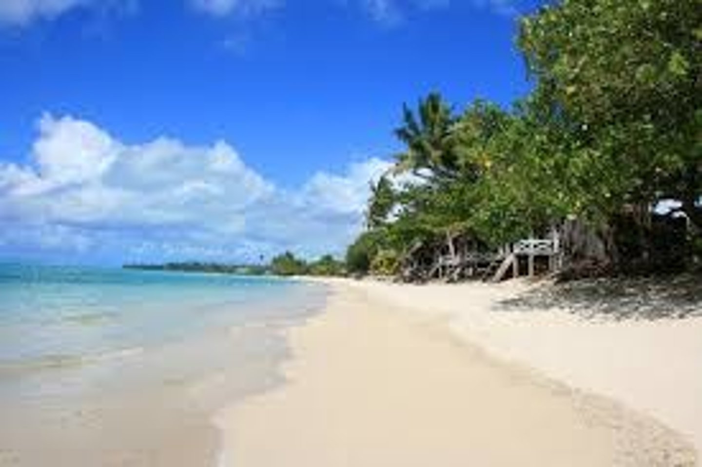 <p>beach</p>