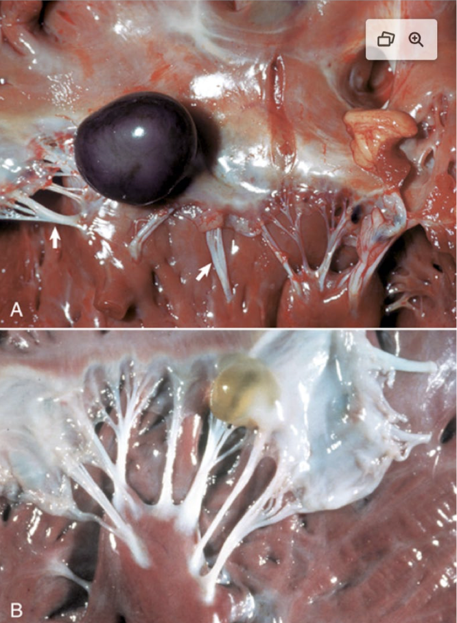 <p>What is this showing?</p>