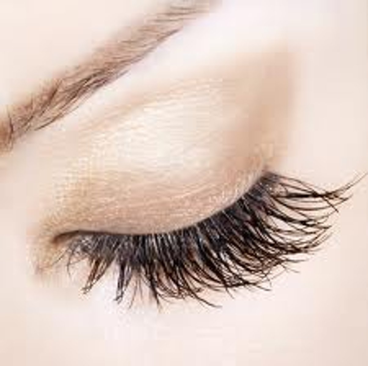 <p>Latin</p><p>Eyelash, eyelid</p><p>Cilia</p>