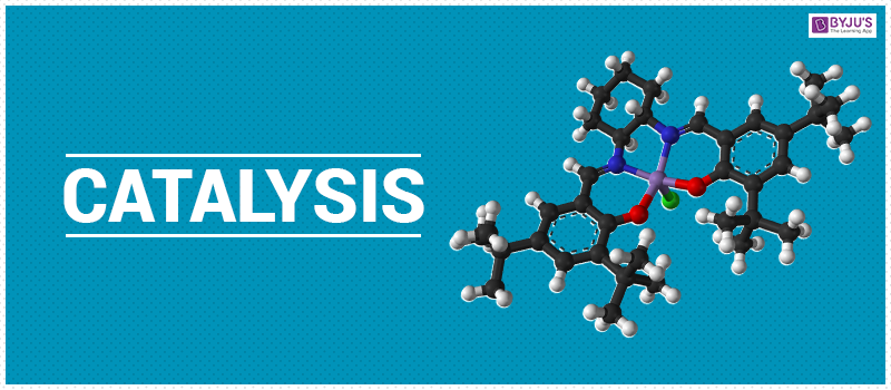<p>What is <span><strong><u>Catalysis?</u></strong></span></p>