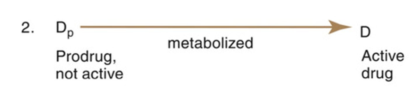 <p>Inactive compound is transformed into an active compound</p>