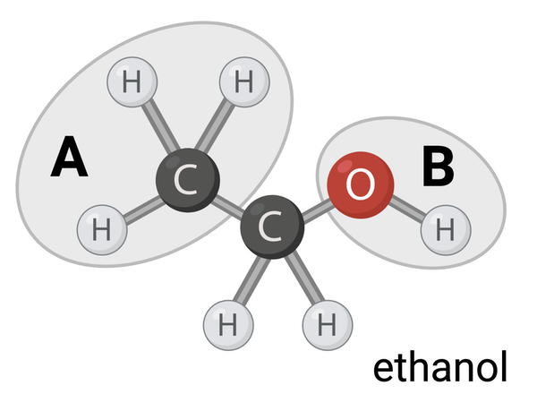 <p>Which terms accurately describe Region A? &nbsp;Select <strong>all</strong> that apply.</p><ul><li><p><span>a. nonpolar</span></p><p></p></li><li><p><span>b. polar</span></p><p></p></li><li><p><span>c. hydrophobic</span></p><p></p></li><li><p><span>d. hydrophilic</span></p></li></ul><p></p>