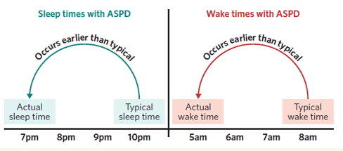 <ul><li><p>Melatonin is secreted earlier, leading to earlier sleep and wake times</p></li></ul><p></p>