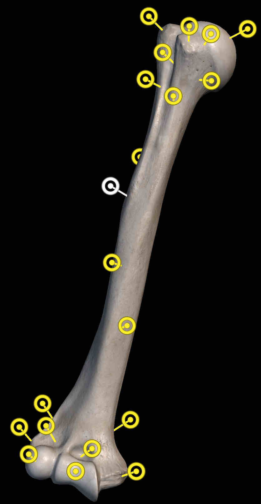<p>Name the structure</p>