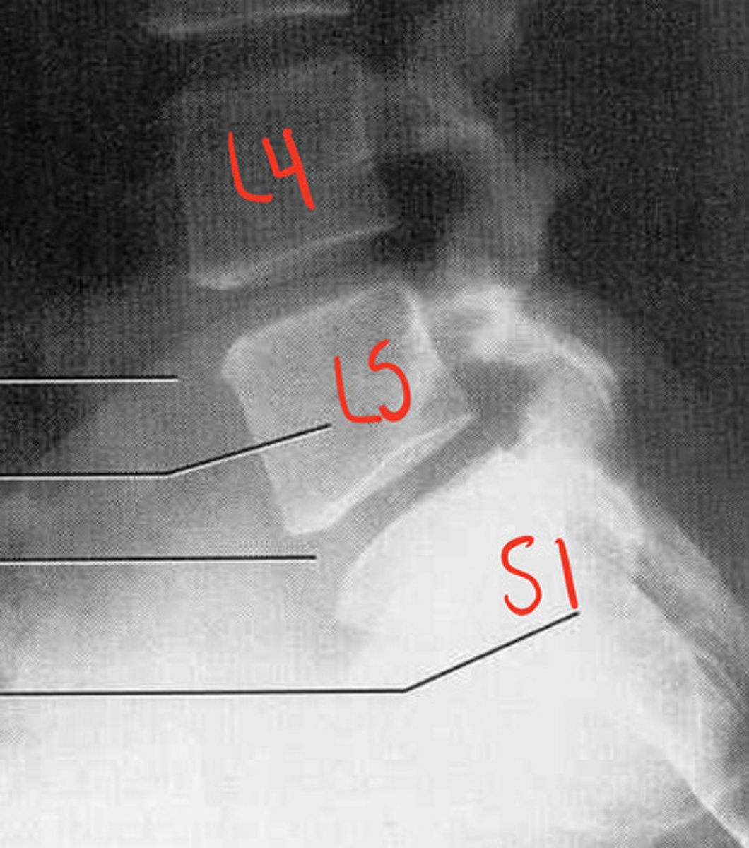 <p>what is this image?</p>