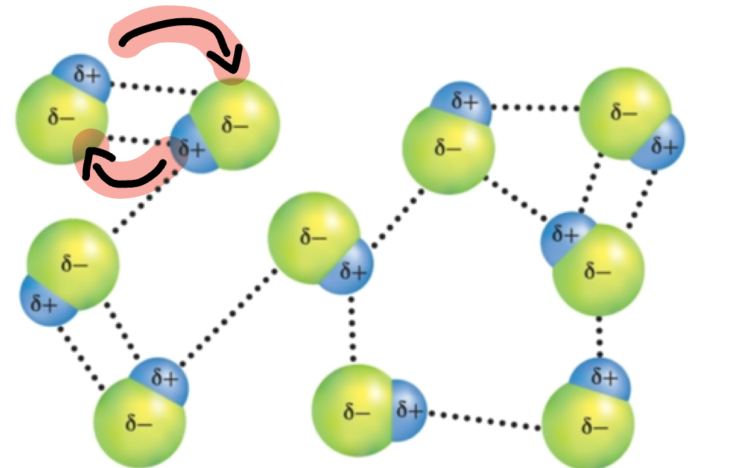 <p>Dipole-Dipole Forces</p>