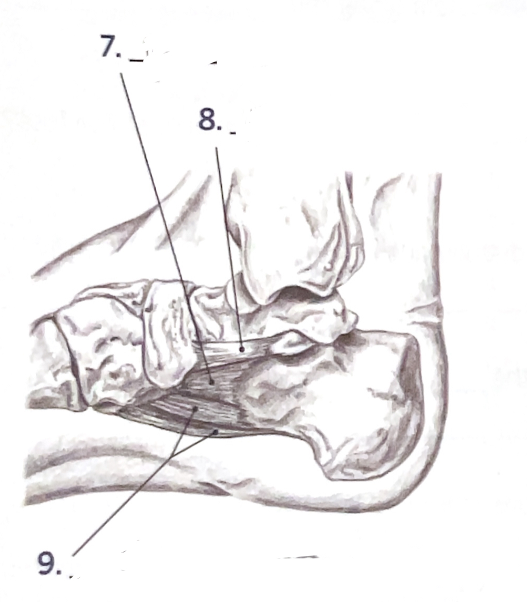 <p>9</p>
