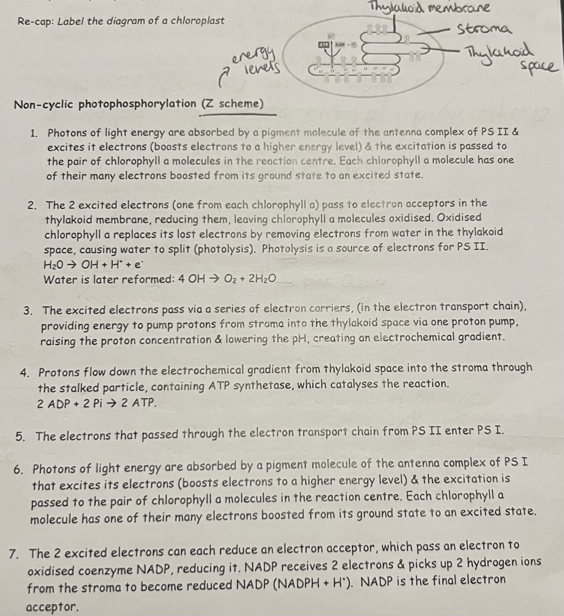 knowt flashcard image