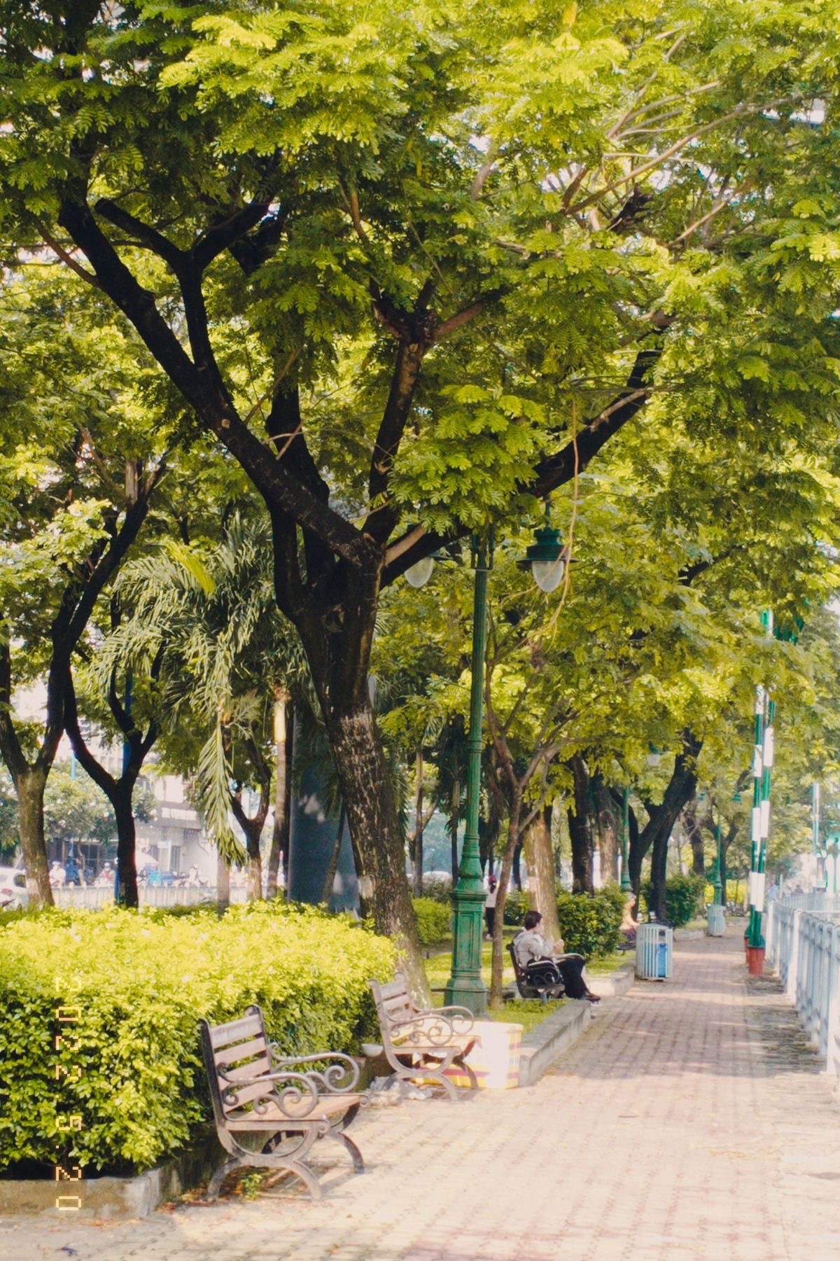 <p>Trong một công viên</p>