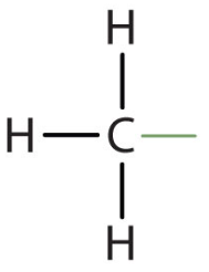 <p>Methyl Group</p>