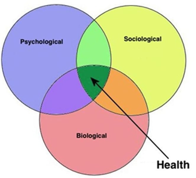 <p>- perspective of psychology<br>- modern idea that acknowledges human thinking and behavior results from biological, psychological, and social factors</p>