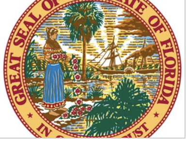 <p>What is this?</p>