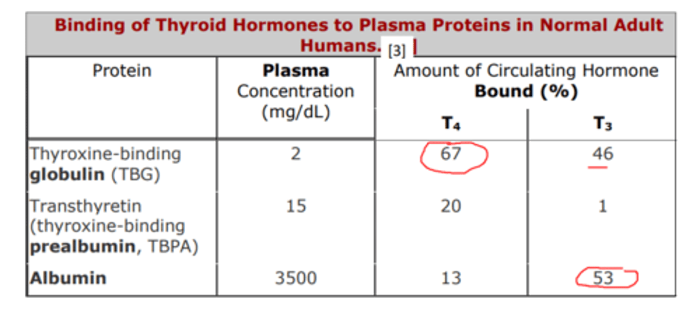 <p>• tiek saistīti ar specifisku (1) tiroksīnu saistošoproteinu (thyroxine binding globuline, TBG); tas saista 67% T4 un 46% T3 ,</p><p>• kā arī tiek transportēti ar plazmas (2) albumīnu un (3) thyroxine-binding prealbumin.</p>