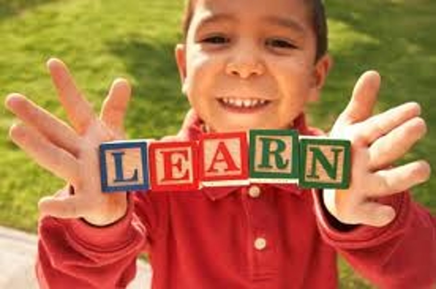 <p>to learn / học</p>