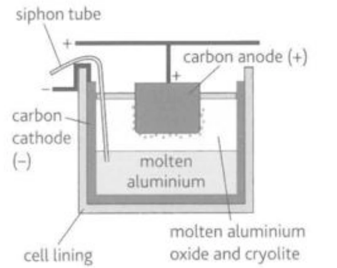 <p>Describe this image</p>