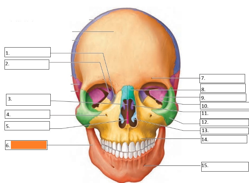 <p>6</p>
