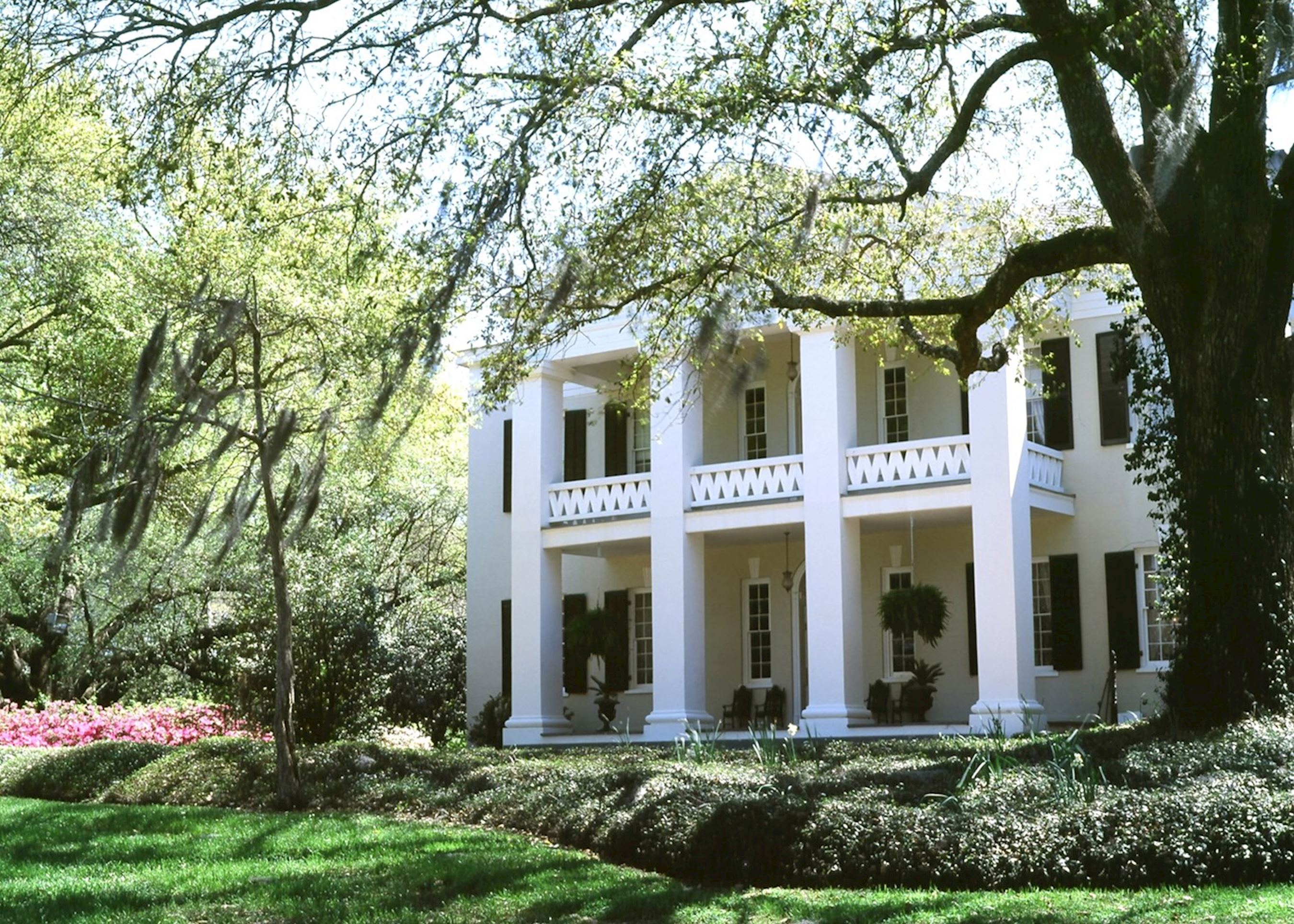 <p><span>Plantation</span></p>