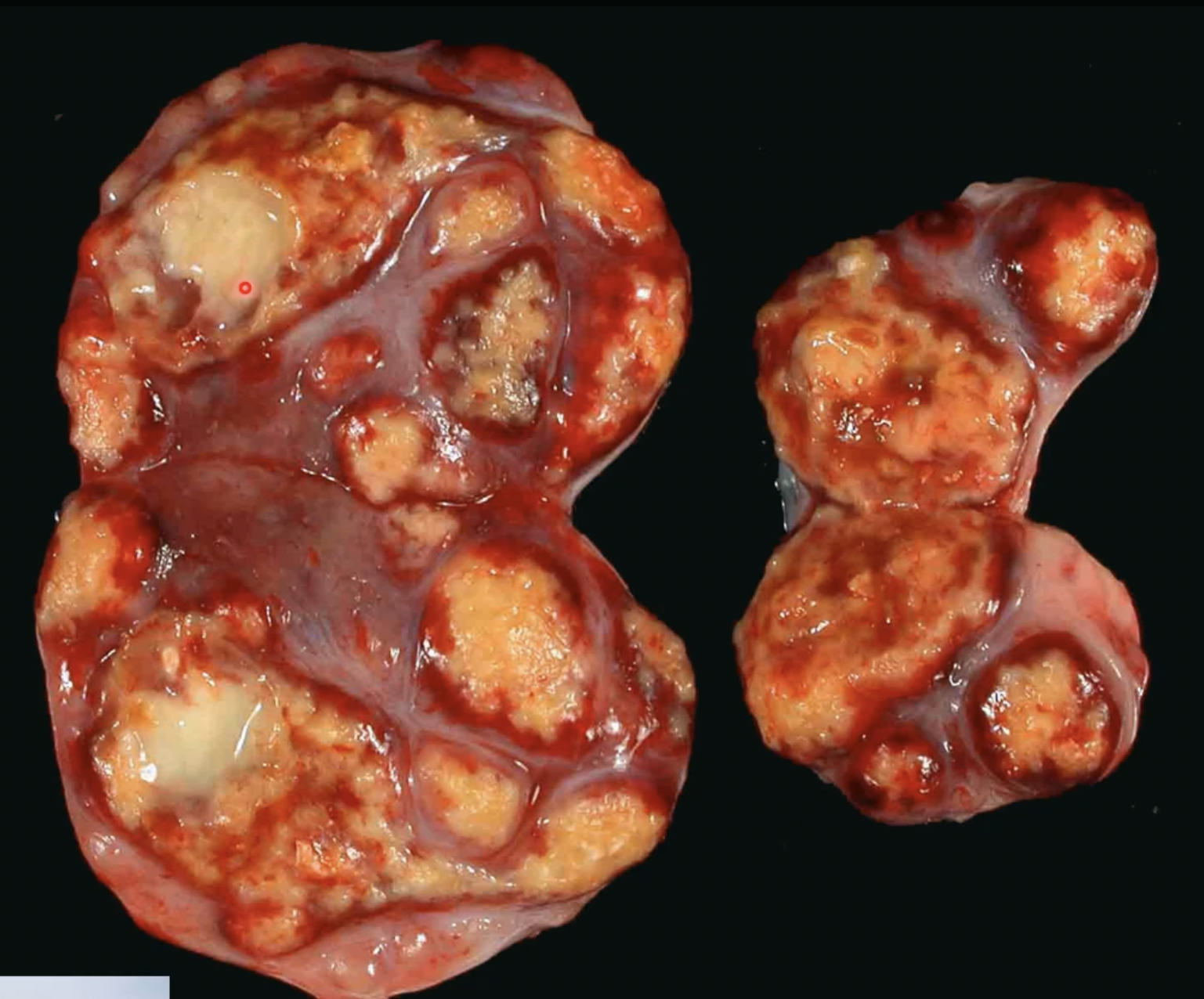 <p>what is happening?</p>