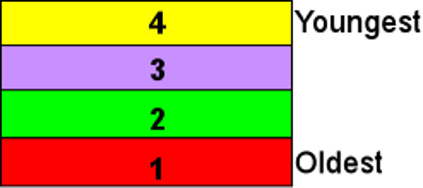 <p>The top rock layer and its fossils is the youngest and the bottom is the oldest.</p>