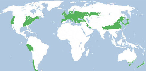 <p>temperate deciduous forest climate</p>