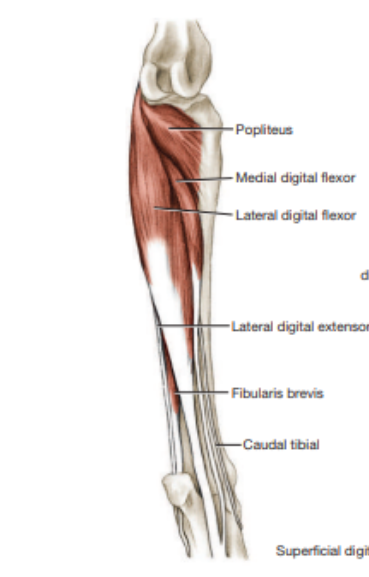 <p>Which view is this? </p>