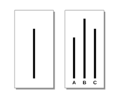 <p>Asch’s experiments</p>