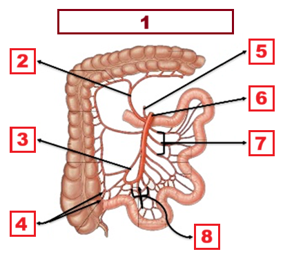 <p>6</p>