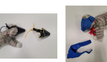 <p>Velcro secured, nylon material</p><p>Tie or buckle secured. Leather or plastic material</p><ul><li><p>long part goes over the head</p></li></ul><p></p>