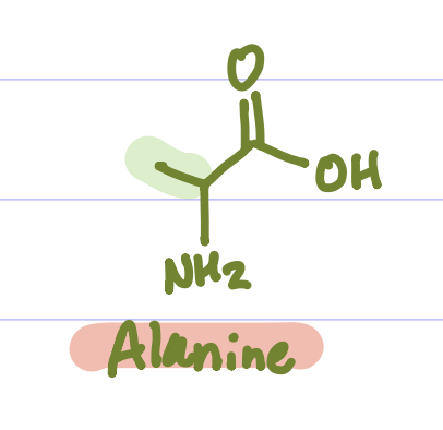 <p>Is this Amino Acid Polar or Non-polar?</p>