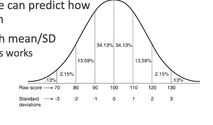 <p>Percentages within a Normal Curve </p>