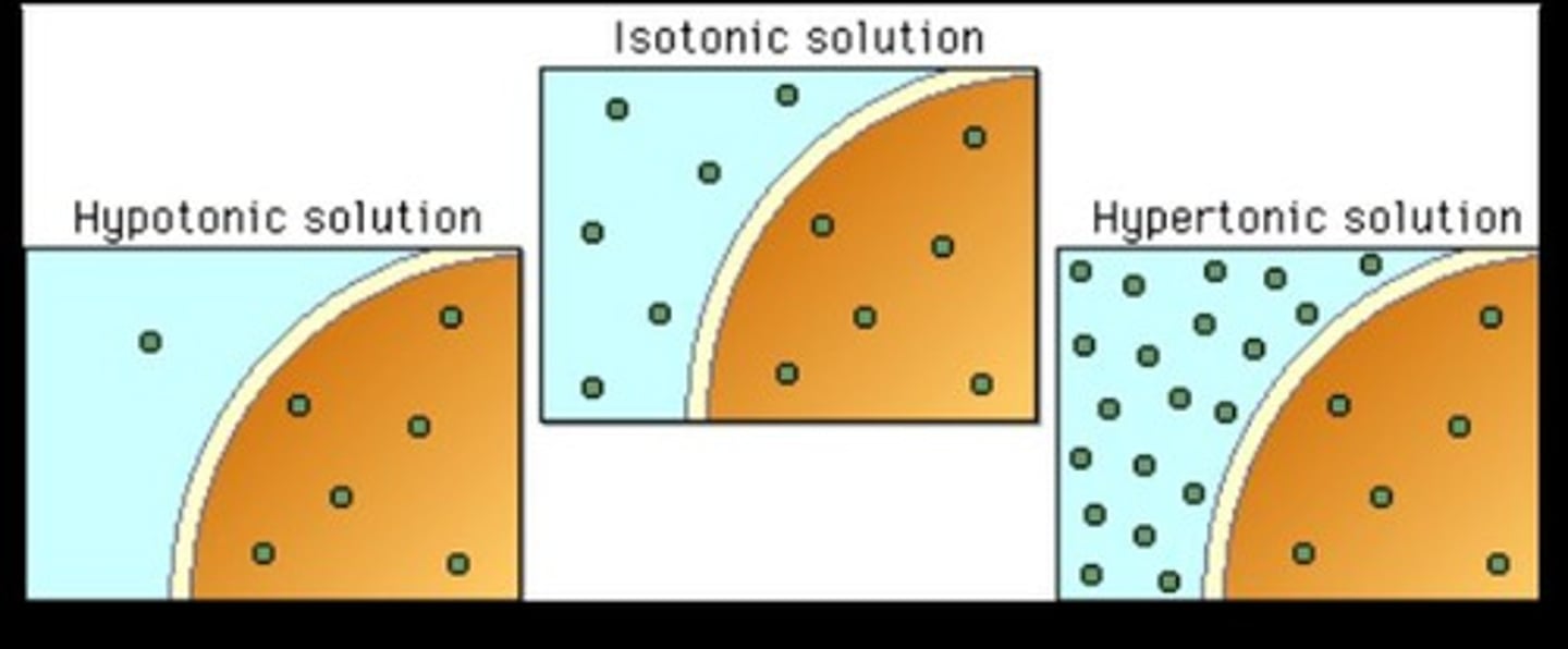 <p>Equal concentration; Example: saline solution for body</p>