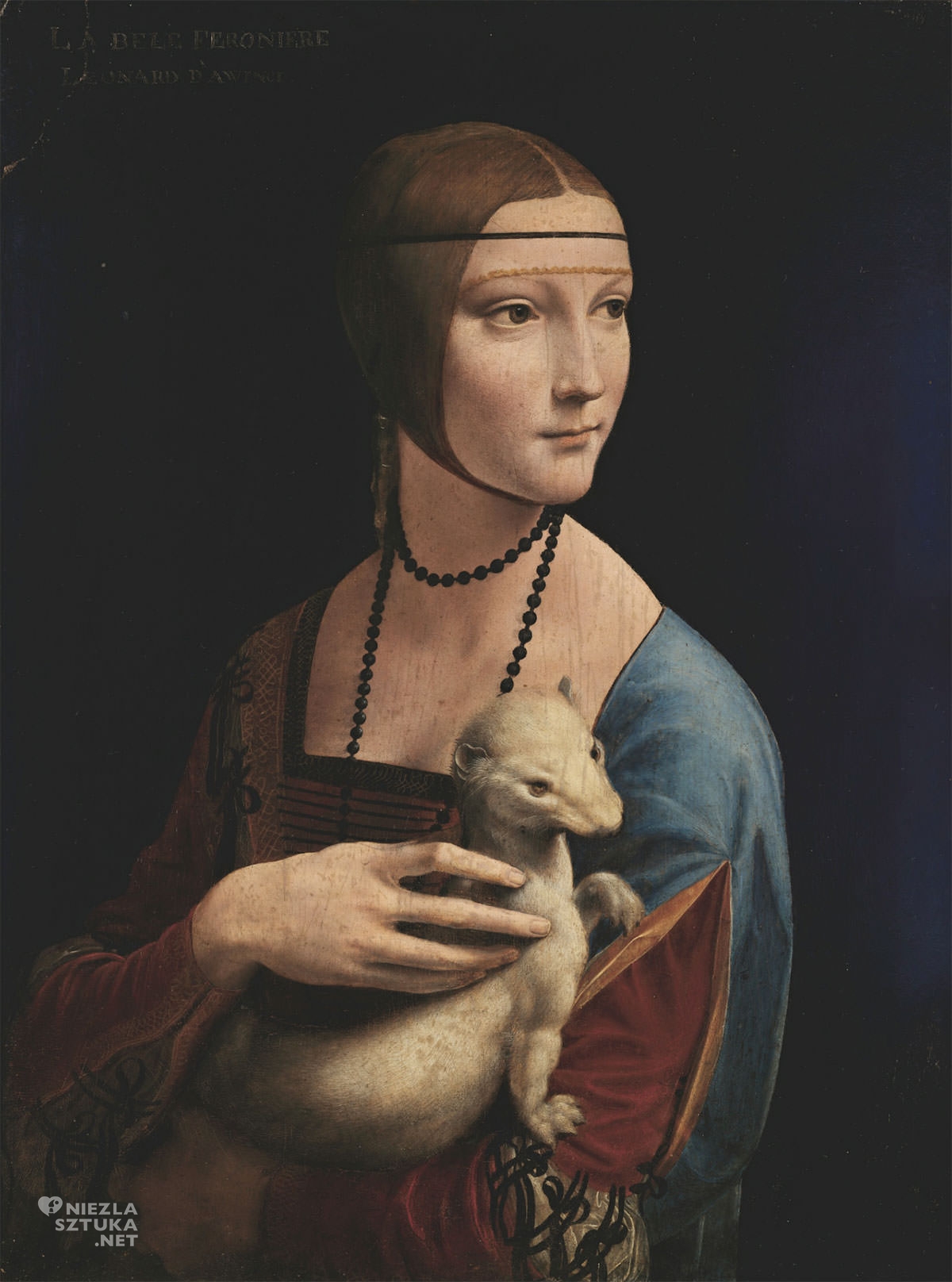 term image