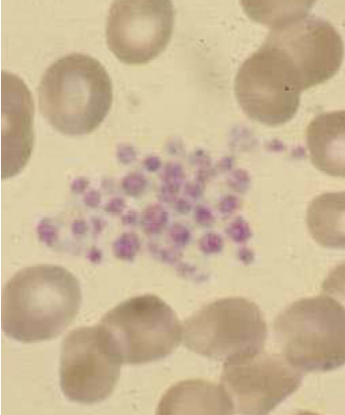 <p>what is this called</p>