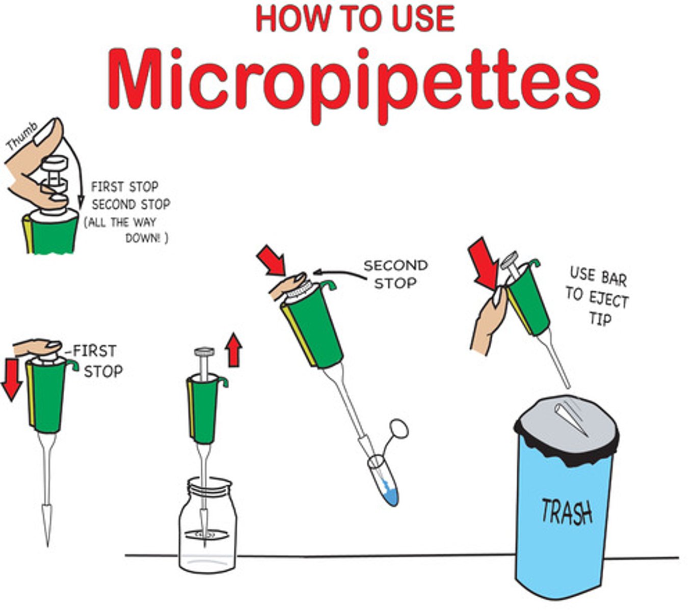 <p>1. Apply a new tip to the pipette</p><p>2. Press to 1st stop and release to draw liquid in</p><p>3. Press to 2nd stop to expel liquid</p><p>4. Remove from sample before you release!</p><p>5. Press button to eject tip</p>