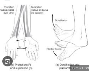 <p><span>the movement of an object or structure from its original position</span></p>