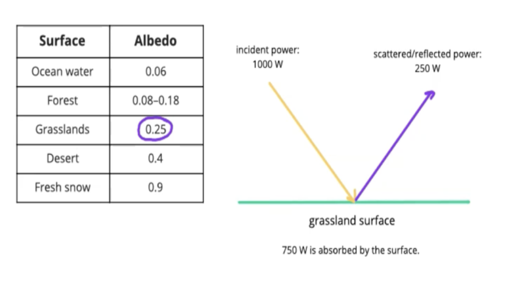 <p>The proportion of incident radiation that is reflected by a surface</p>