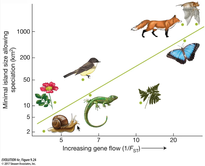 <p>1) It is easier to see how it occur.  It can occur w/o gene flow, so differences can easily arise within pop.s</p><p>2) The evidence (from the image) shows that immobile species tend to speciate while living on a small island.</p>