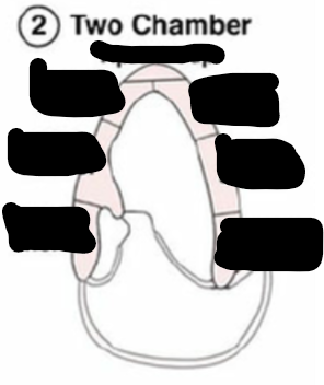 <p>Identify this image. </p>