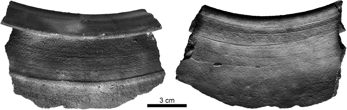 <p>the spiral ridges or striations around the interior or exterior surface of a vessel thrown on a wheel, formed by finger pressure in "lifting" the clay</p><ul><li><p>also called throwing marks</p></li></ul><p></p>