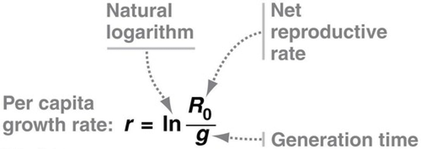 <p>Maximum possible growth rate under ideal conditions.</p>