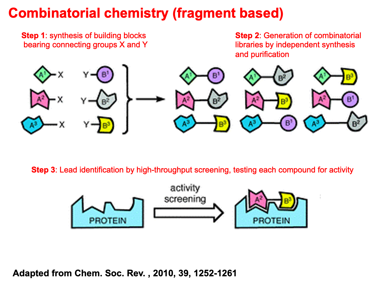 <p><span><strong>Step 1</strong>: synthesis of building blocks bearing connecting groups X and Y</span></p><p></p><p><span><strong>Step 2</strong>: Generation of combinatorial libraries by independent synthesis and purification</span></p><p></p><p><span><strong>Step 3</strong>: Lead identification by high-throughput screening, testing each compound for activity</span></p><p></p><p></p>