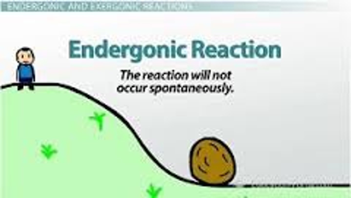 <p>A non-spontaneous chemical reaction in which free energy is absorbed from the surroundings.</p>