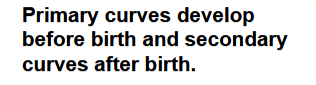 <p>What types of curves are in the <strong>spinal curves </strong>category?</p>