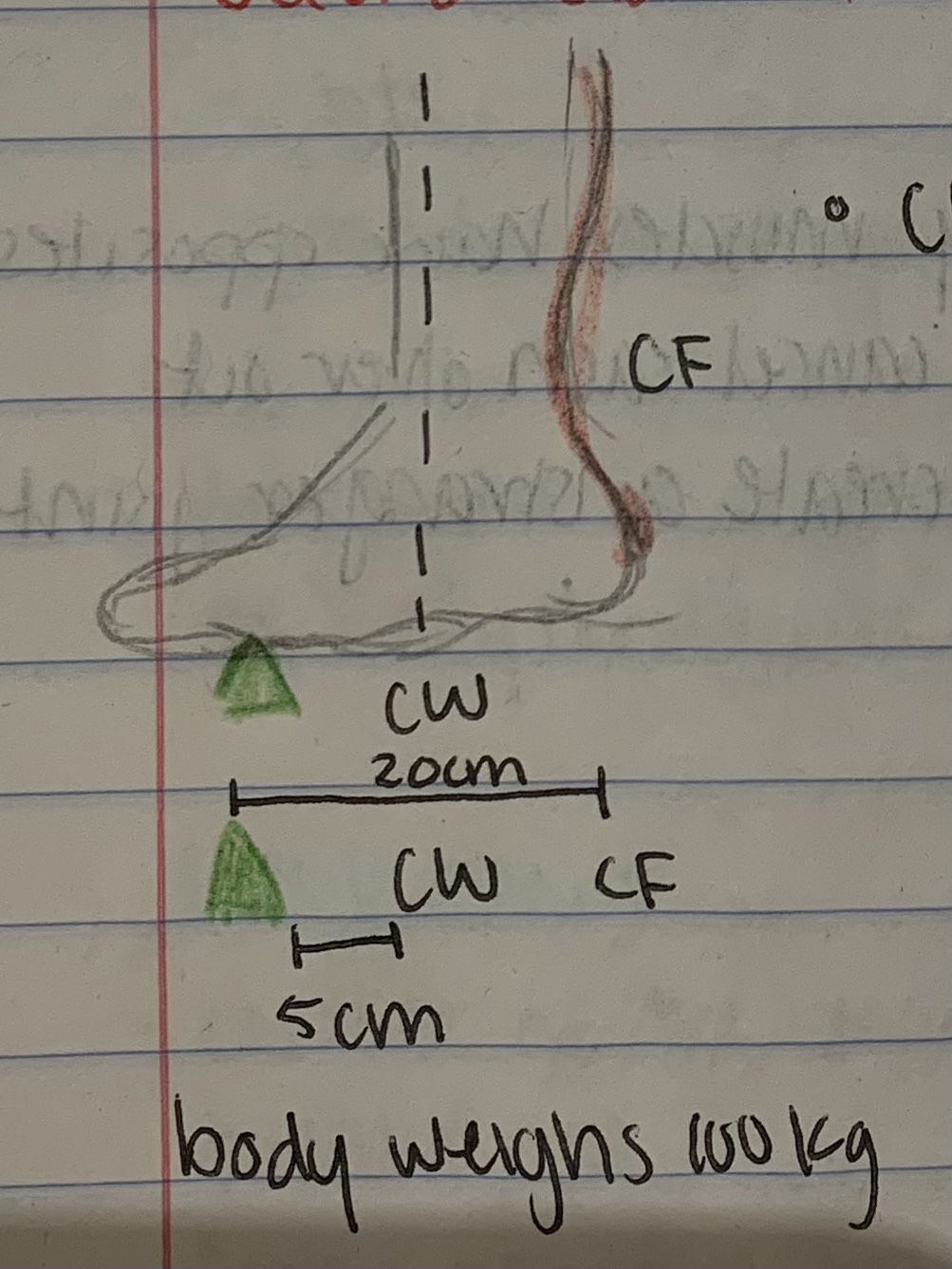 <p>Center weight is in the middle, force advantage, distance disadvantage</p>