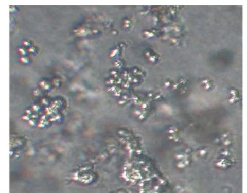 <p>what is this a picture of?</p>
