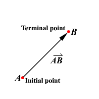 <p>The endpoint of a vector</p>