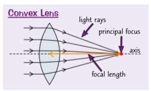 <ol><li><p>An incident ray parallel to the axis refracts through the lens and passes through the principal focus on the other side.</p></li><li><p>An incident ray passing through the principal focus refracts through the lens and travels parallel to the axis.</p></li><li><p>An incident ray passing through the centre of the lens carries on in the same direction.</p></li></ol><p></p>