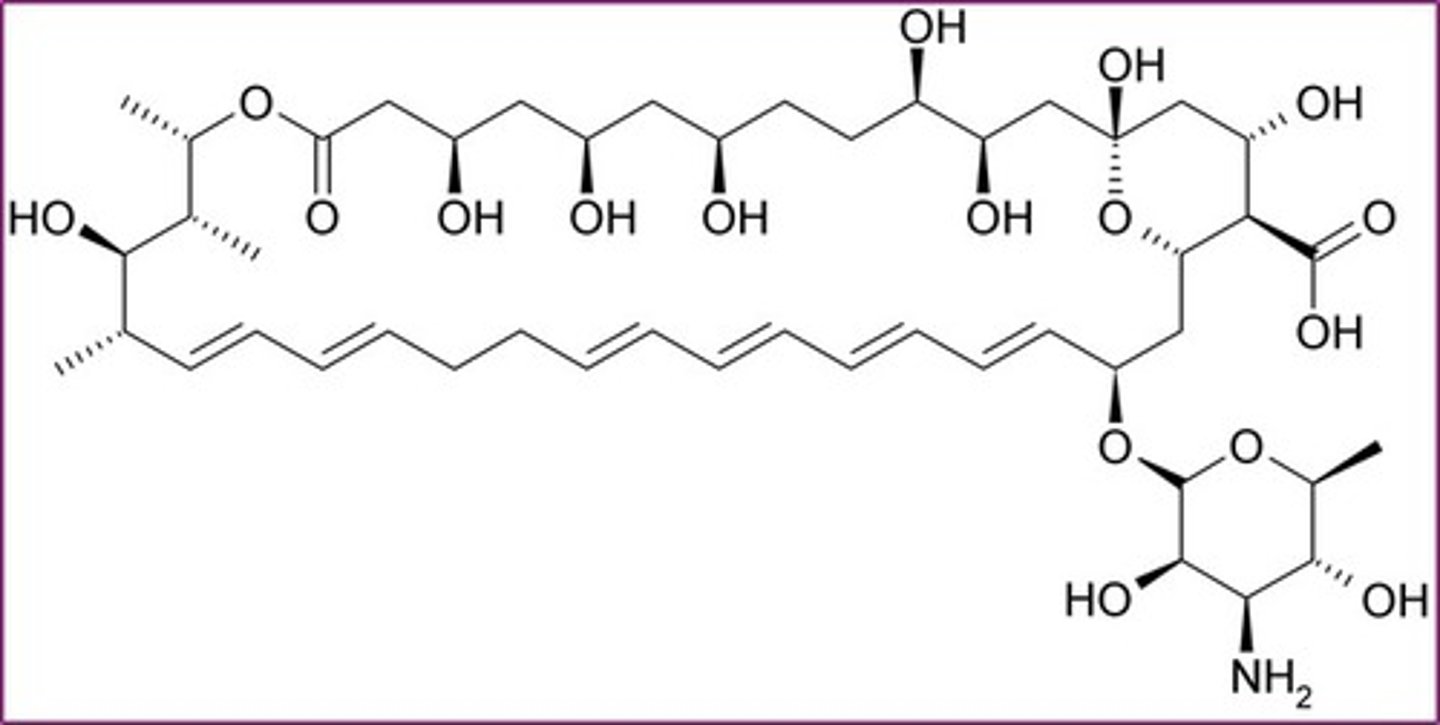 <p>topical macrocyclic lactone with hydrophilic (top) and hydrophobic (bottom) regions</p>